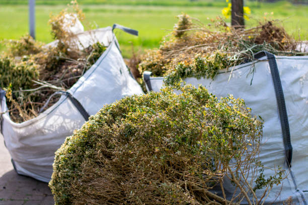 Shed Removal in Saginaw, MI